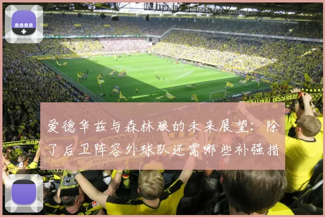 爱德华兹与森林狼的未来展望：除了后卫阵容外球队还需哪些补强措施